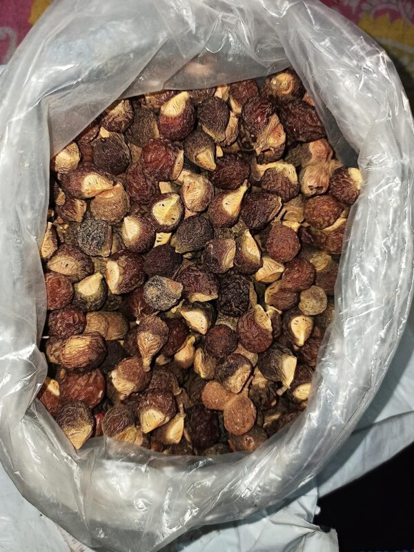 Boonthikottai, Natural Aritha, Reetha, Ritha, Soapnuts, poonthikottai, dried amla, amla, dry amla, amla candy, seeykai, dried shiyakai, reeta, soapnut, soapnuts, hair therapy, seehakai, aritha, soapnut powder,poonthikottai, soapnut, soap nut, soapnut