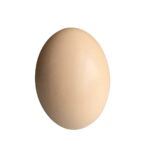 wooden eggs, wooden egg toy, easter egg, wooden toys, wooden egg for kids, fake eggs for kids play, wooden eggs for play, wooden eggs