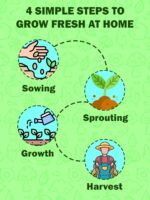 seed, seed, seed, seed, seed, seed, seed, seed, seed, seed, seed, seed, seed, seed, seed, seed, seed, seed, seed, seed, seed, seed, seed, seed, seed,