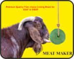 Lick for Cow; calf;cattle;പശു ലിക്ക് ബ്ലോക്ക്;Animals medicine;animals mineral supplements,animals supplements,cow supplements; mineral mixture cow
