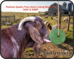 Lick for Cow; calf;cattle;പശു ലിക്ക് ബ്ലോക്ക്;Animals medicine;animals mineral supplements,animals supplements,cow supplements; mineral mixture cow